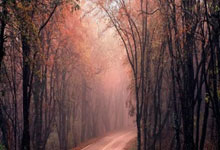 欧冠16强出炉：西甲三强在列 意甲仅剩国米独苗.