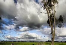 郑钦文搭档乔科维奇参加网球表演赛 基里奥斯退出.