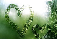 哈尔滨第九届亚洲冬季运动会主火炬点燃新华社.