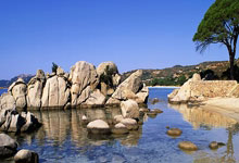 昔日恒大顶级外援，如今加盟土超效力：C罗好帮手金元“弄潮儿”.